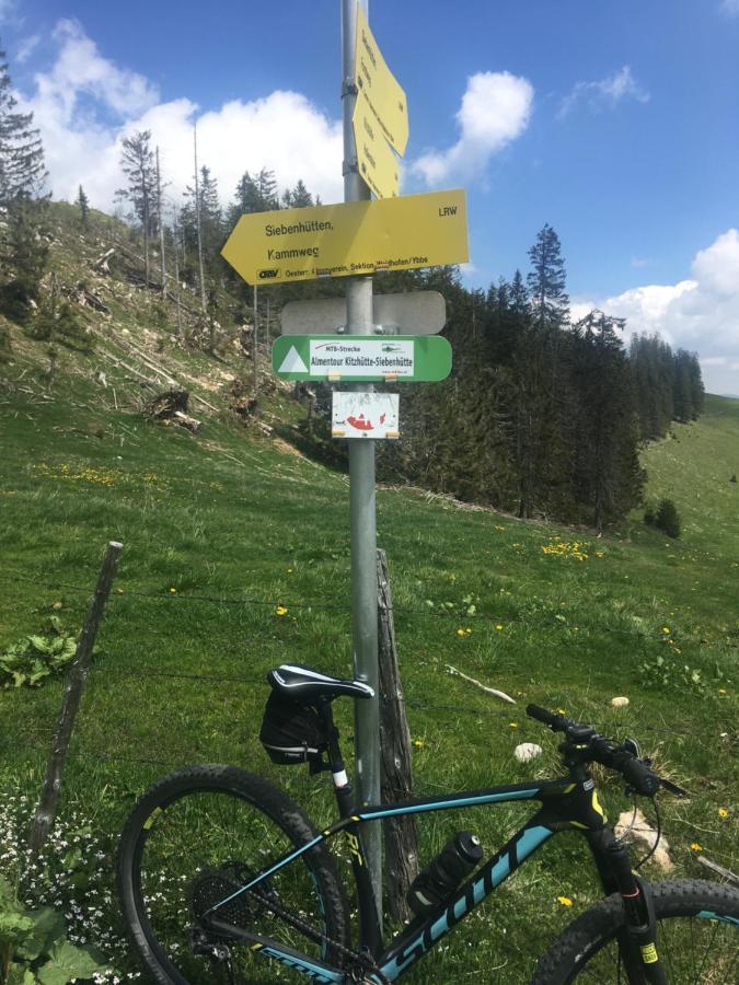 Appartements Maximilian Göstling an der Ybbs Exteriör bild