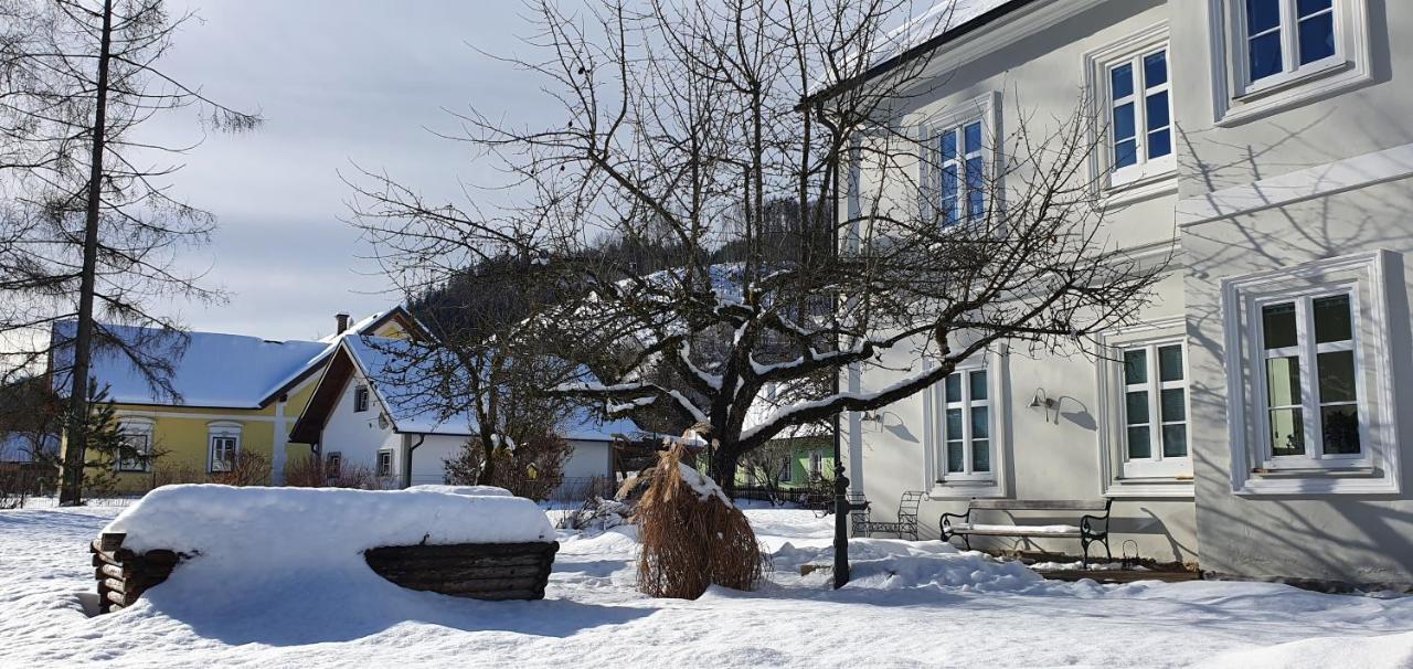 Appartements Maximilian Göstling an der Ybbs Exteriör bild