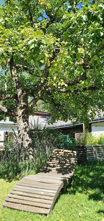 Appartements Maximilian Göstling an der Ybbs Exteriör bild